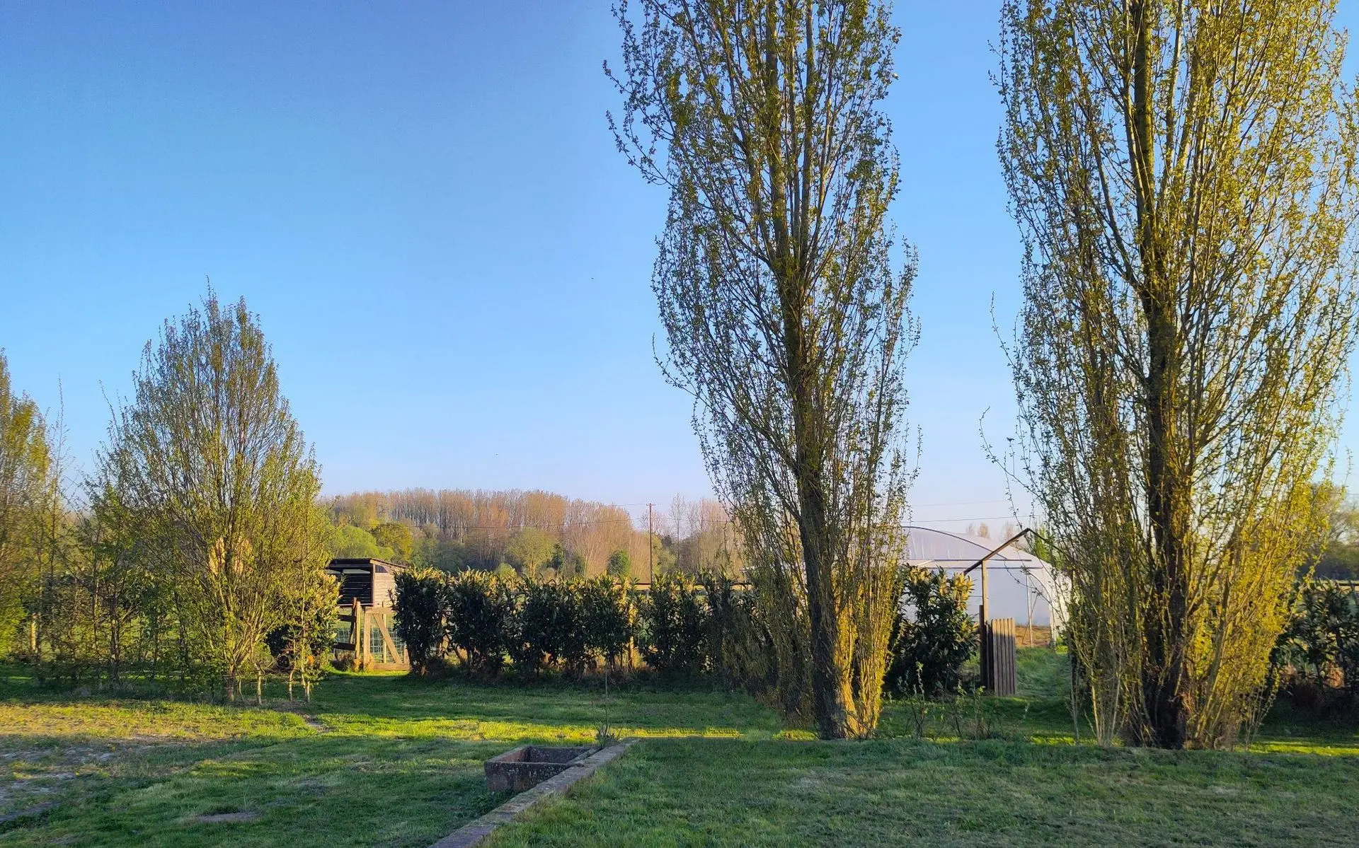 Une photo du Ranch